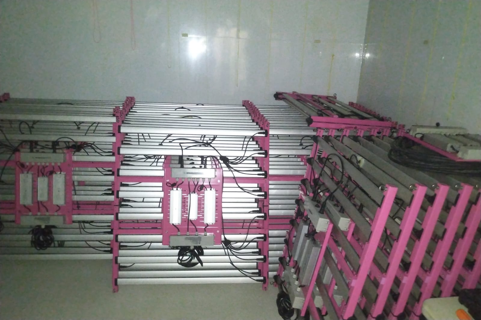 ProGrowTech Evolve Series LED EV700 - 100-277V