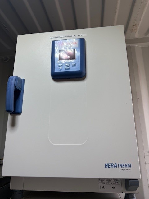 Thermo Scientific heratherm IGS60 incubator